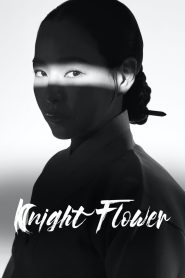 Knight Flower (2024)